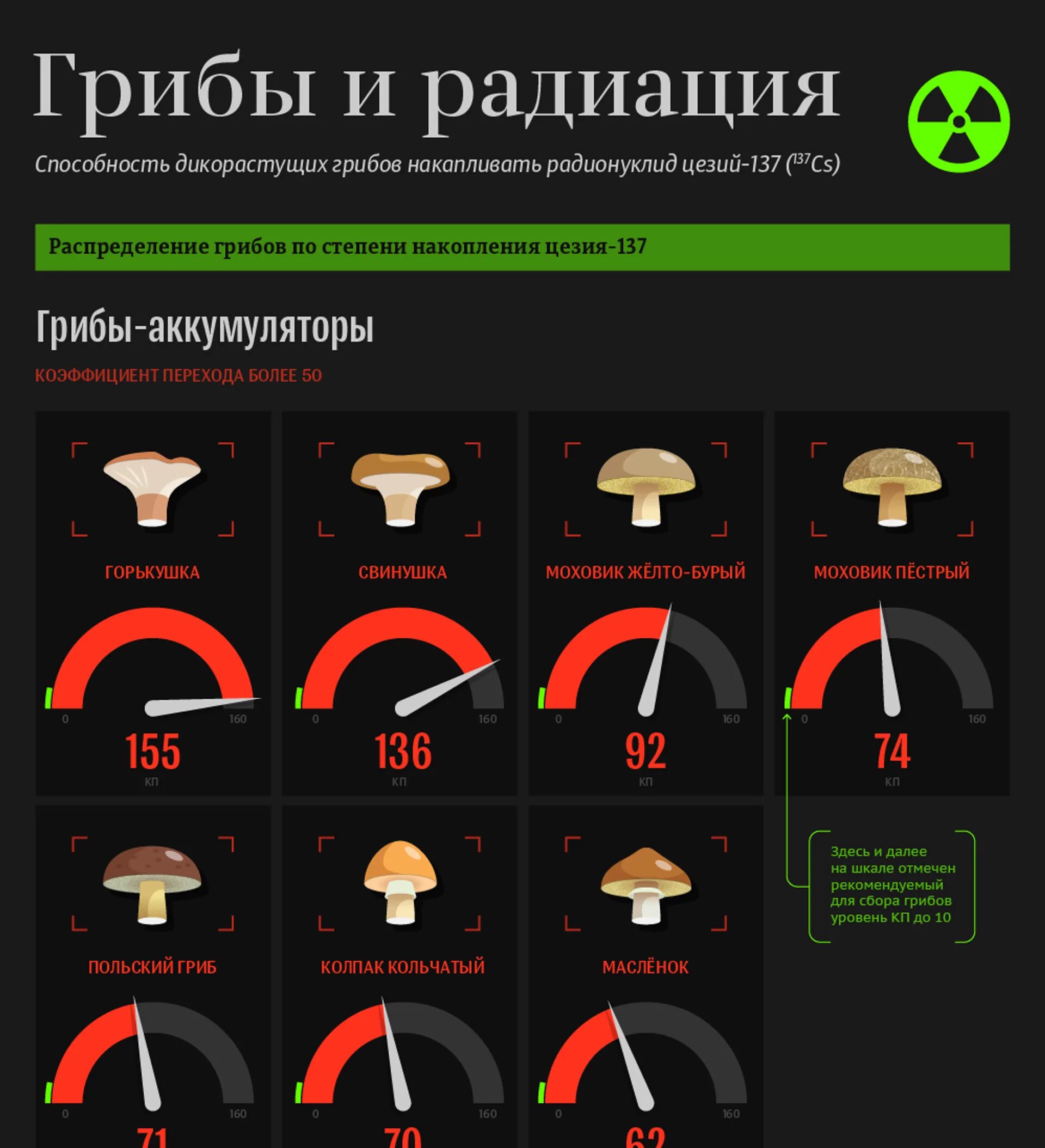 Грибы и радиация. Радиация инфографика. Радиоактивный гриб. Облучение грибов.