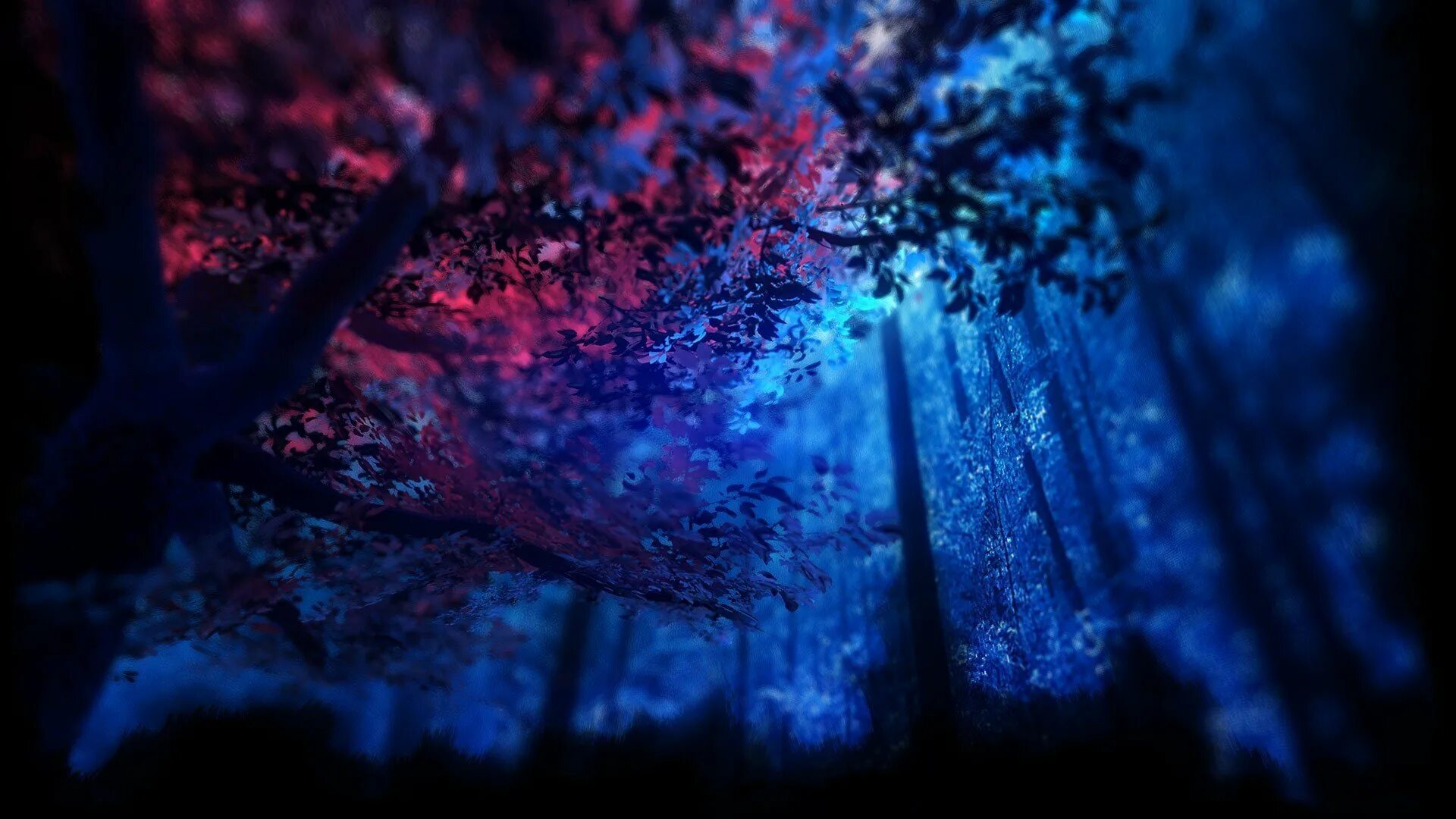 Крутой фон для фото. Пещеры светлячков Вайтомо. Синий лес. Фон профиля. Красивый фон для профиля.