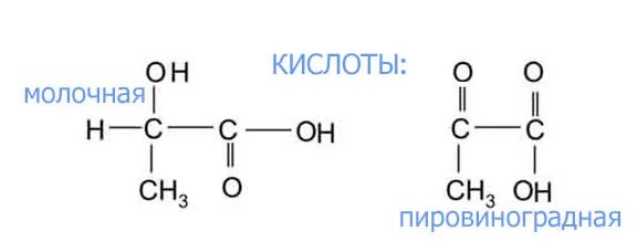 Пировиноградная кислота формула. Формула пировиноградной кислоты ПВК. Пировиноградная кислота структурная формула. Пировиноградная и молочная кислота формулы.