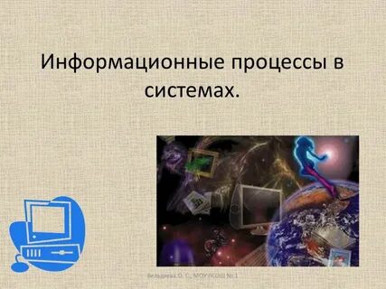 Естественная информационная система