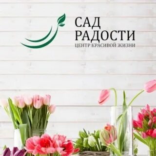 Радости 23
