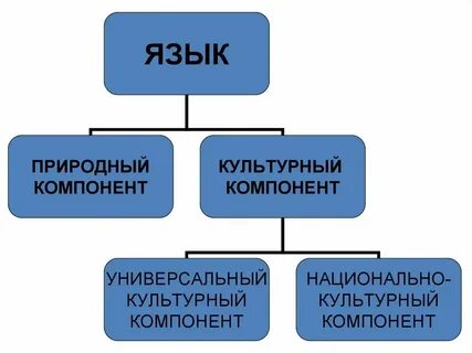 Общий компонент это