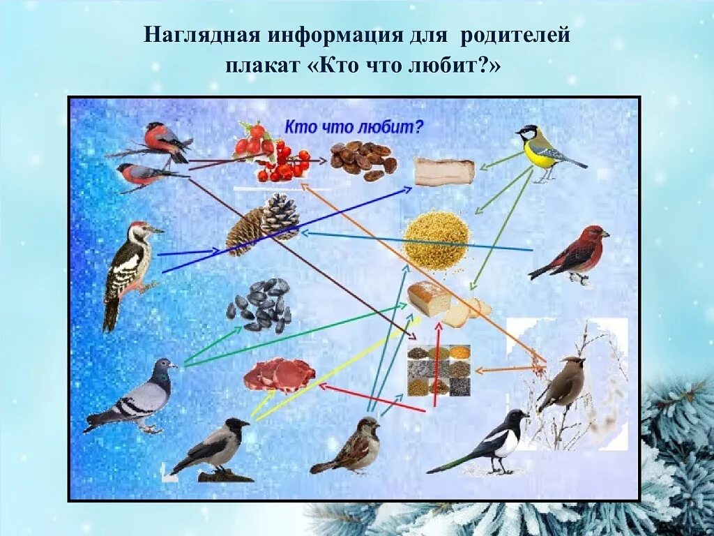 Планирование в средней группе птицы весной. Зимующие птицы для детей дошкольного возраста. Зимующие птицы средняя группа. Птицы подготовительная группа. Детям о зимующих птицах подготовительная группа.