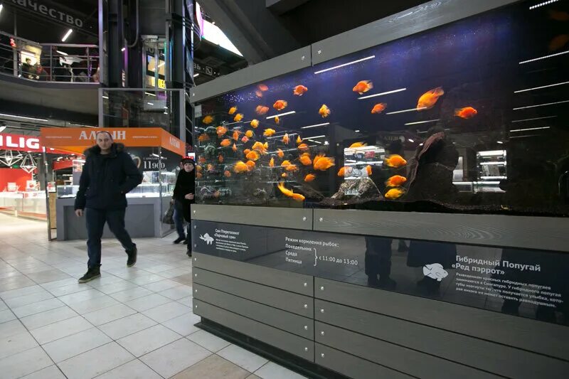 работа муравей нижний новгород