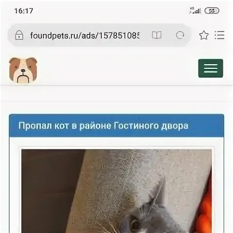Коты тула парадиз. Коты тула парадиз