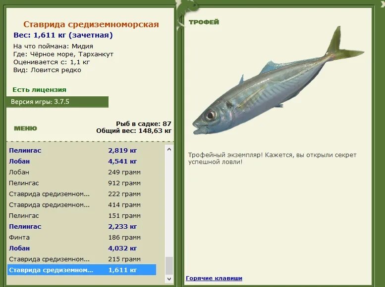 На что ловить в средиземном море Рыбалка в Атлантике Наталия Смирнова