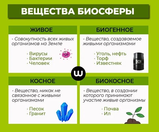 Егэ экология это ответы. ЕГЭ био. Вебиум био. Био все для ЕГЭ. Экологические правила ЕГЭ.