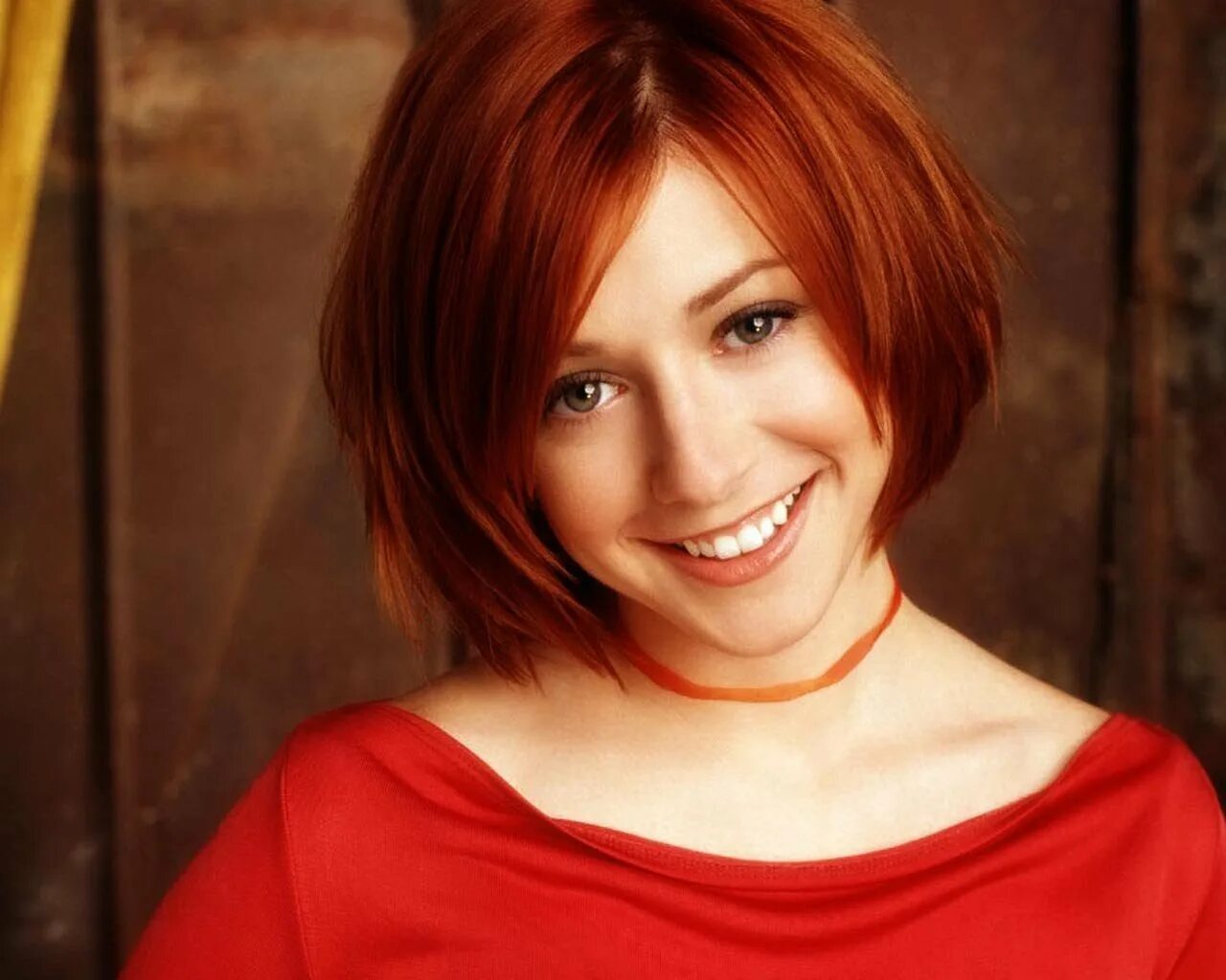 Рыжие познакомятся. Alyson Hannigan. Элисон Ханниган 1995. Элисон Хэннигэн 2022. Элисон Ханниган фото.