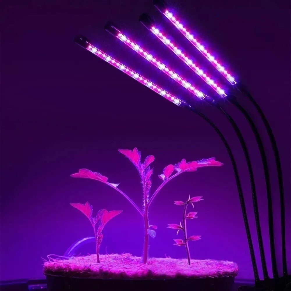 Освещение для растений. Фитолампа для растений светодиодная полный спектр. Лампа led grow Light. Фитолампа для растений 30w 500led. Фитолампа огонек og-ldp08.