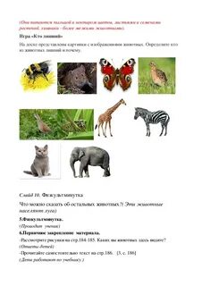 Сообщество окружающий мир 4 класс по плану