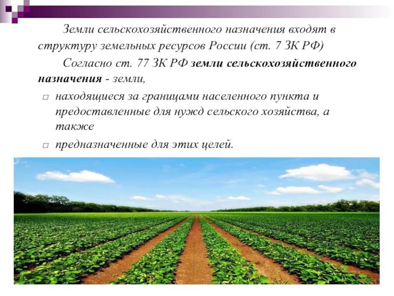 как найти площадь склона. земледельческие террасы огэ. земледелец на расчищенном склоне холма. какова площадь отведенная под посевы. как найти площадь склона.