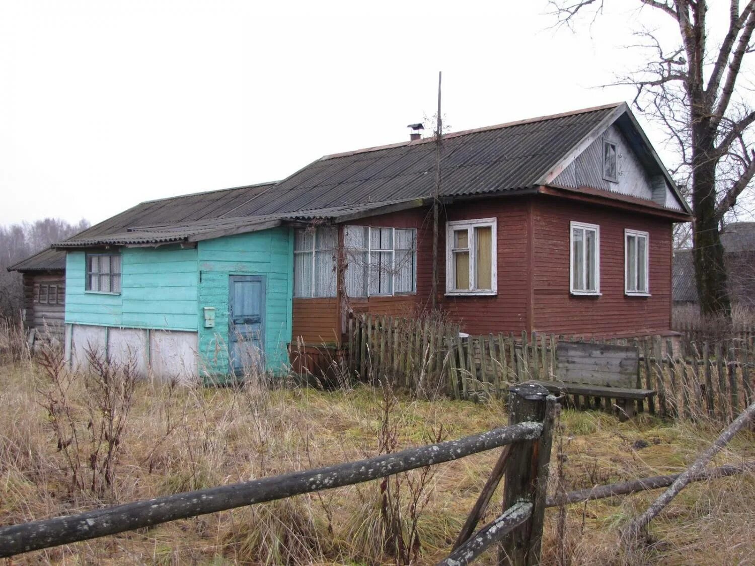 домашние животные для квартиры. чтобы было чисто. пригород антонио хаус в америке. чтобы дома было чисто. большой дом.