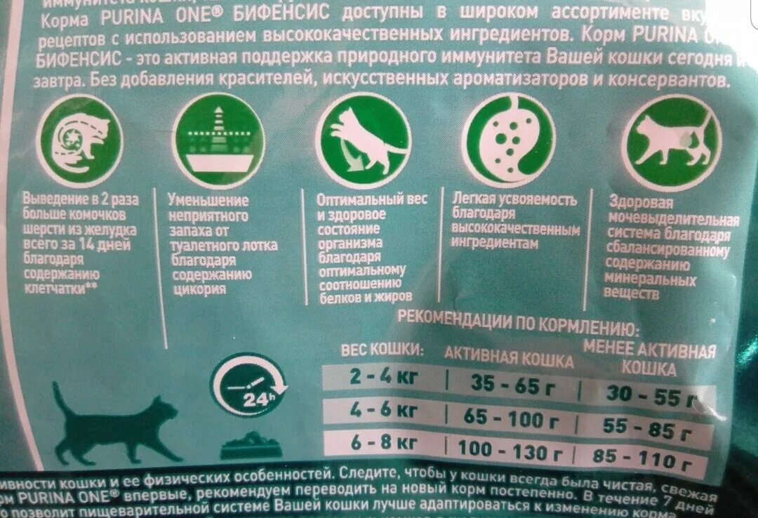 Еда для собак. Миска с кормом. Кошка и собака едят корм. Советы по кормлению кошки. Сухой корм для кошек для набора веса.