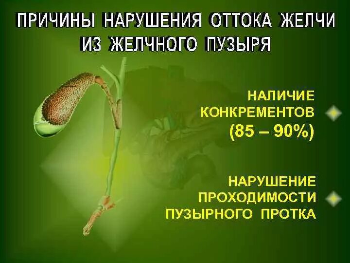 Гимнастика для желчного пузыря. Отток желчи. Причины нарушения оттока желчи. Отток желчи из желчного пузыря. Желчный пузырь отток желчи.
