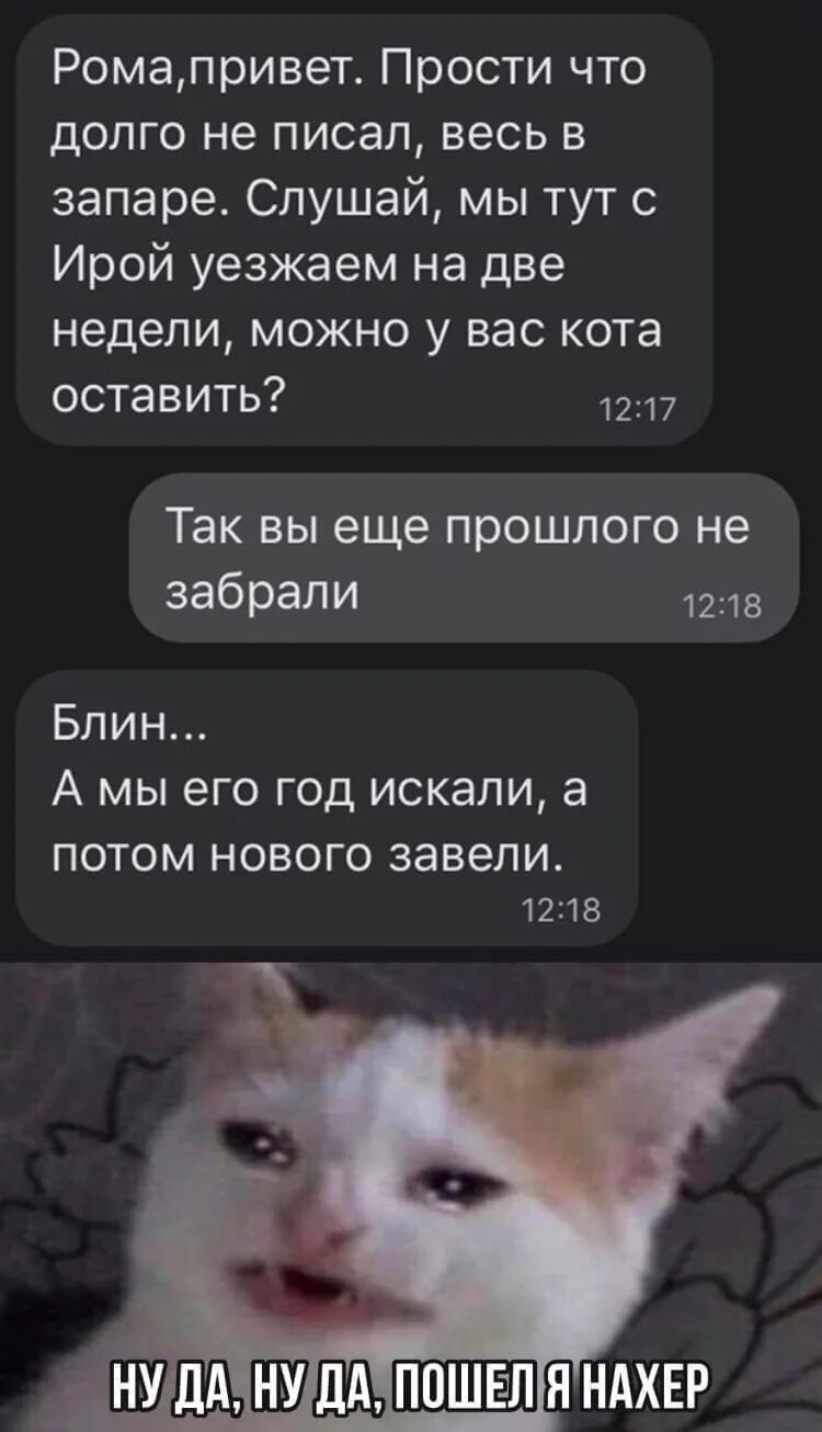 Можно у вас кота оставить. Привет и прости. Прости что долго не писал. Привет извини что отвлекаю можешь проголосовать