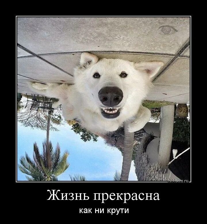 Жизнь хороша как ни. Жизнь хороша как ни