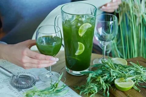 Plant to drink
