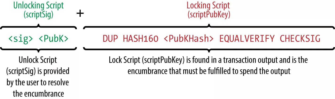 Meta lock script. Transaction script.