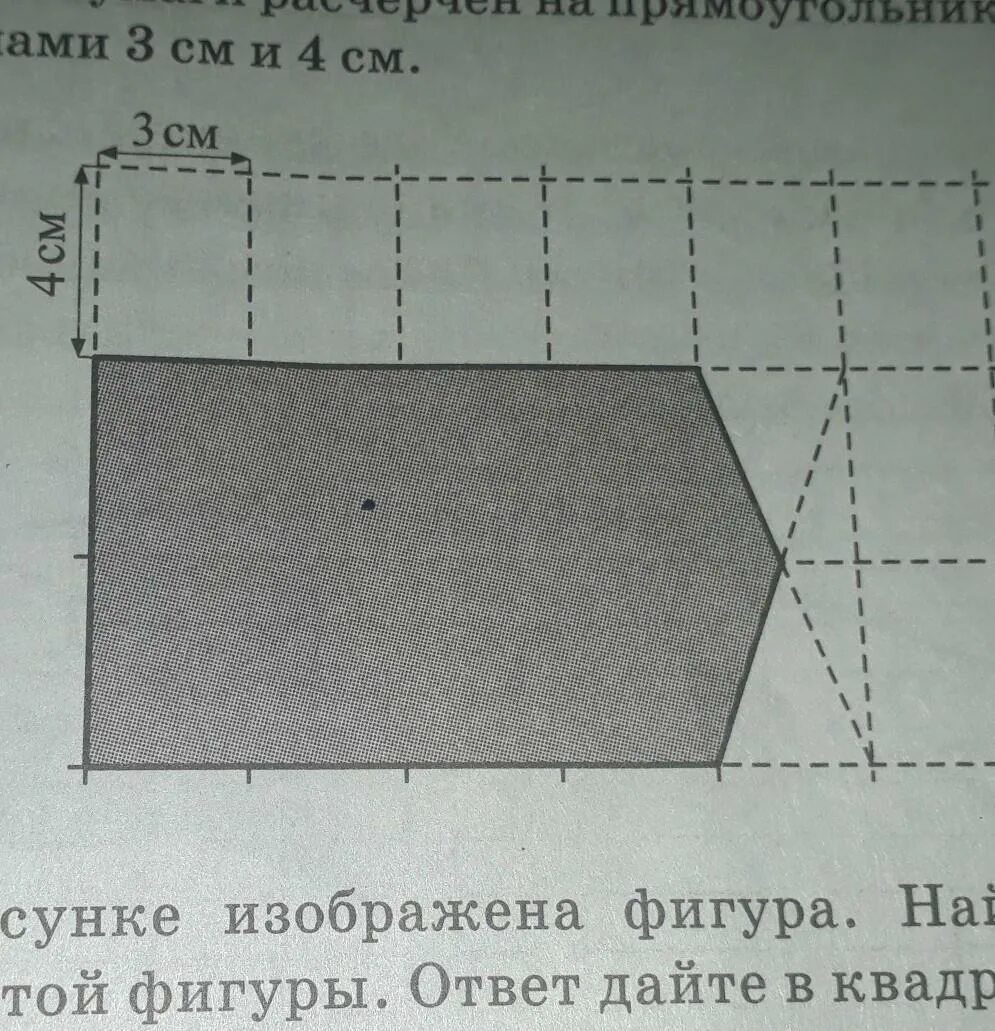 Лист бумаги расчерчен на прямоугольники. Лист бумаги расчерчен на прямоугольники со сторонами 3 см и 4 см. Лист бумаги расчерчен на прямоугольники со сторонами 4. Лист расчерчен на прямоугольники со сторонами. Прямоугольник со сторонами по линии сетки