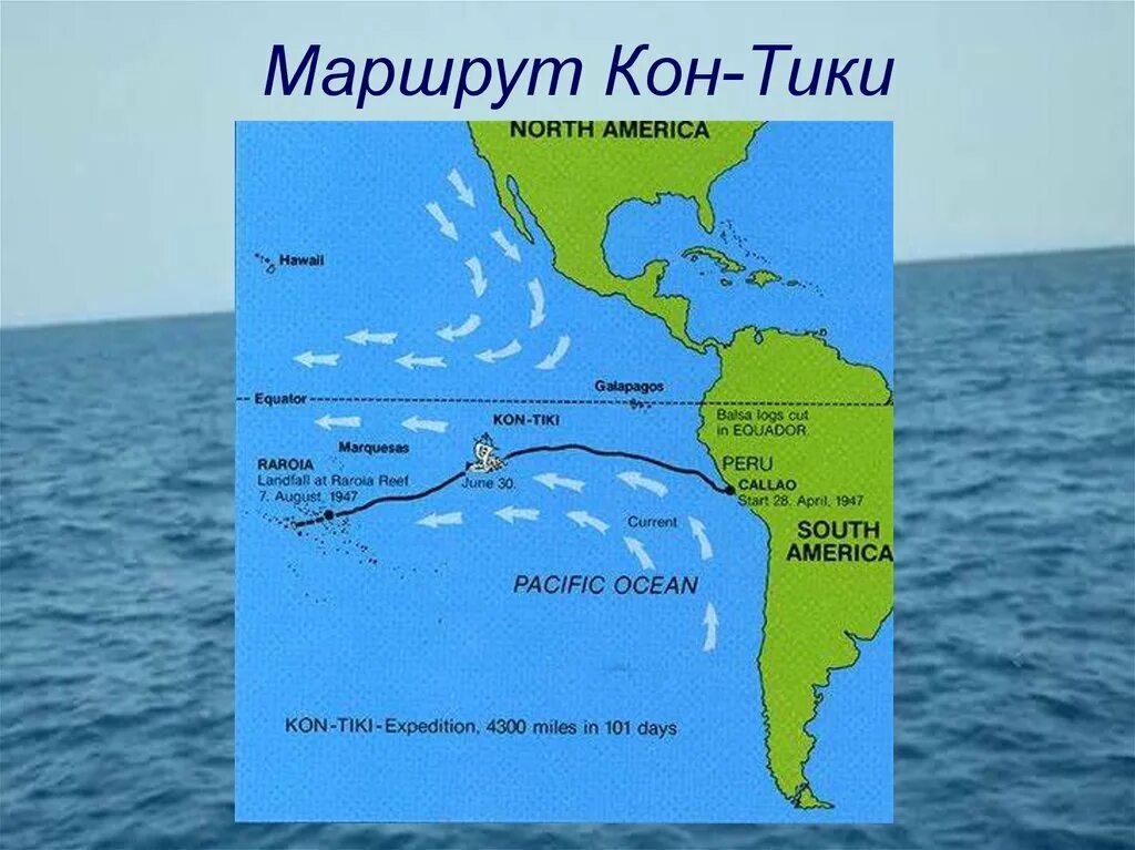 Нельсон какой океан. Тур Хейердал кон Тики маршрут. Маршрут кон-Тики на карте тур Хейердал. Тур Хейердал путешествие на кон Тики путь. Тур Хейердал карта путешествия на кон Тики.