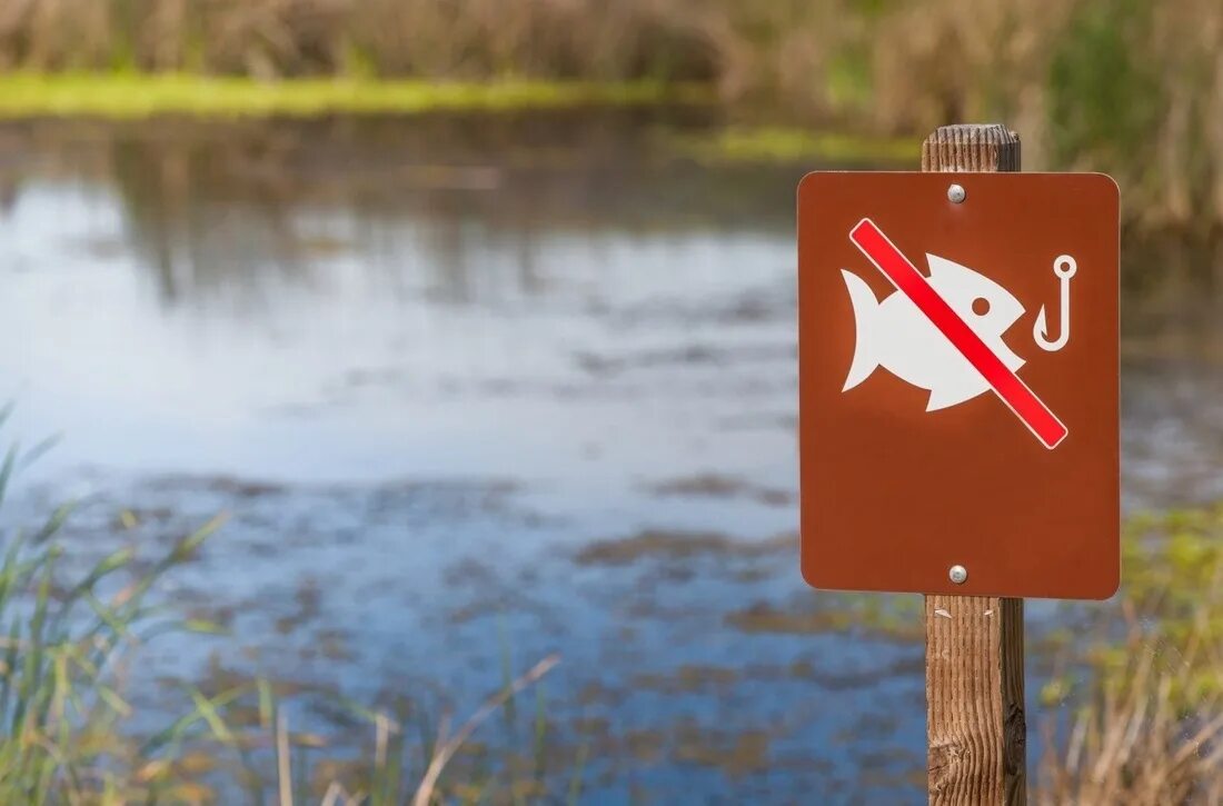 Запрет на рыбалку с лодки 2024. Рыбалка запрещена. Ловить рыбу запрещено. Запрет ловли рыбы. Рыба запрещена.