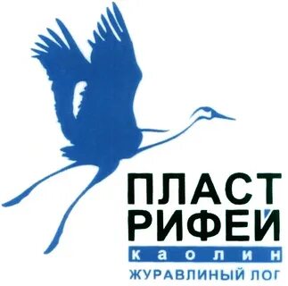 Пласт общества