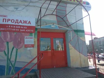 Профессиональная 22