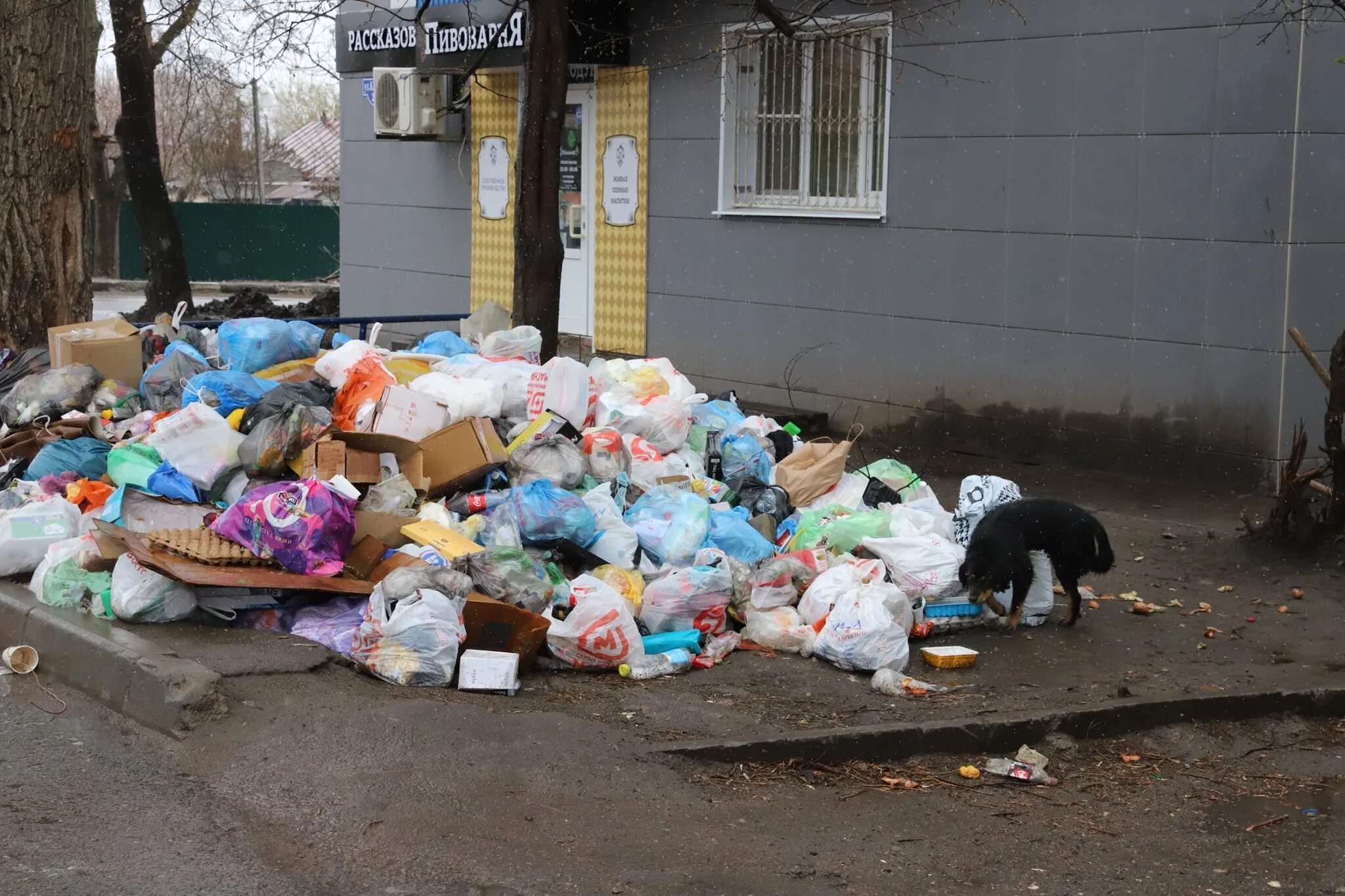Помойка стоите