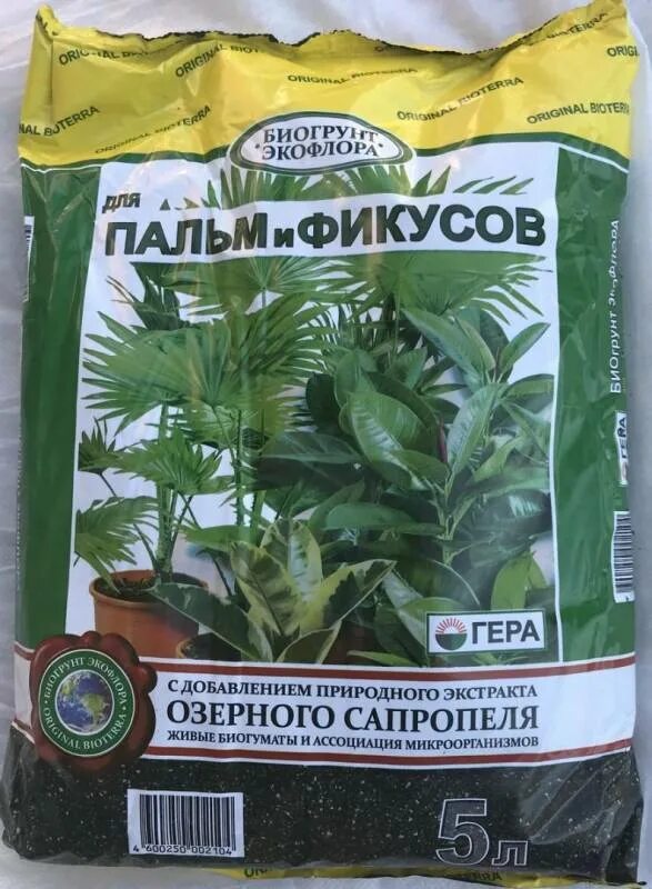 Юкка какую землю