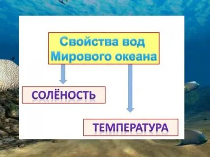 Тест свойства вод мирового океана 6 класс