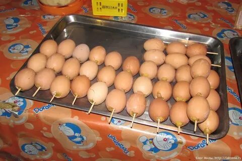 Форум яйцами