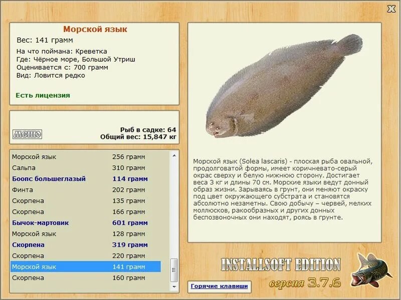 язык весит. язык синего кита вес. язык синего кита. язык весит. язык синего кита.