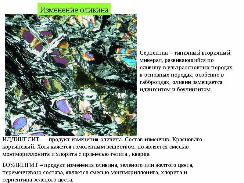 Изменение состава пород. Изменения оливина. Серпентин в шлифе. Оливин в шлифе. Вторичные минералы по оливину.