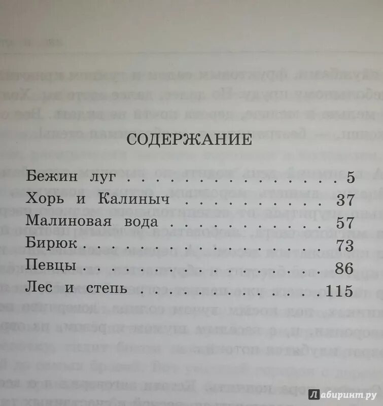 Тургенев сколько страниц. Тургенев Бежин луг сколько страниц. Тургенев Бежин луг оглавление в. Сколько страниц в произведении Бежин луг. Сколько страниц в книге Бежин луг.