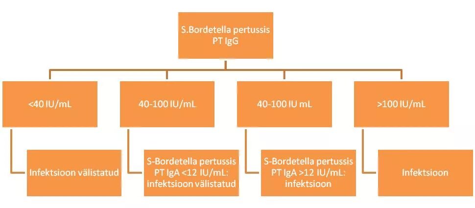 Anti bordetella pertussis положительный. Бордетелла пертуссис IGM. Bordetella pertussis IGG расшифровка. Антитела к бордетелла пертуссис норма. Бордетелла пертуссис IGM норма.