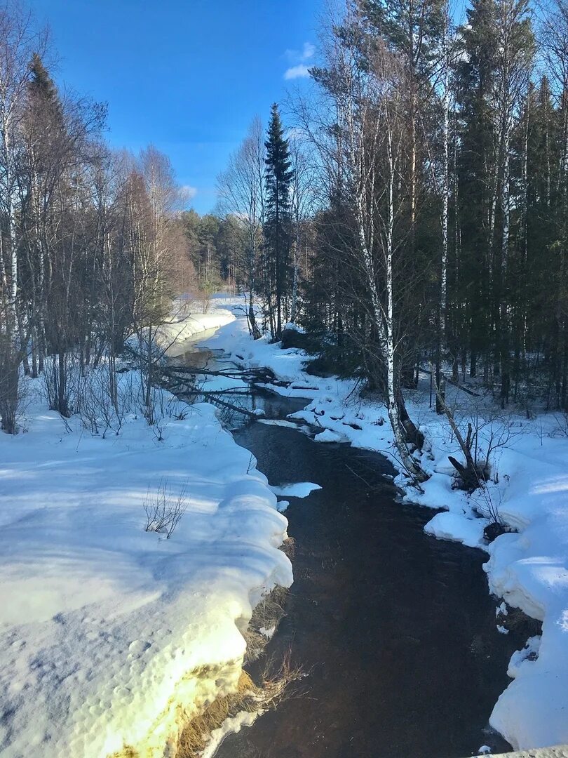 Апрельские проталинки. Пробуждение природы картинки красивые. Изображение весенней земли рисунок. Галина павленко первоцветы. Подснежники тянь шань.