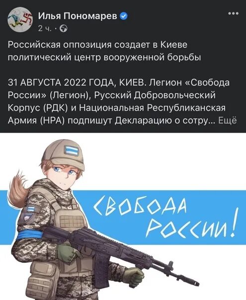 Русский добровольческий корпус что это за организация. Русский добровольческий корпус. Русский добровольческий корпус флаг. Русский добровольческий корпус и Легион Свобода России.