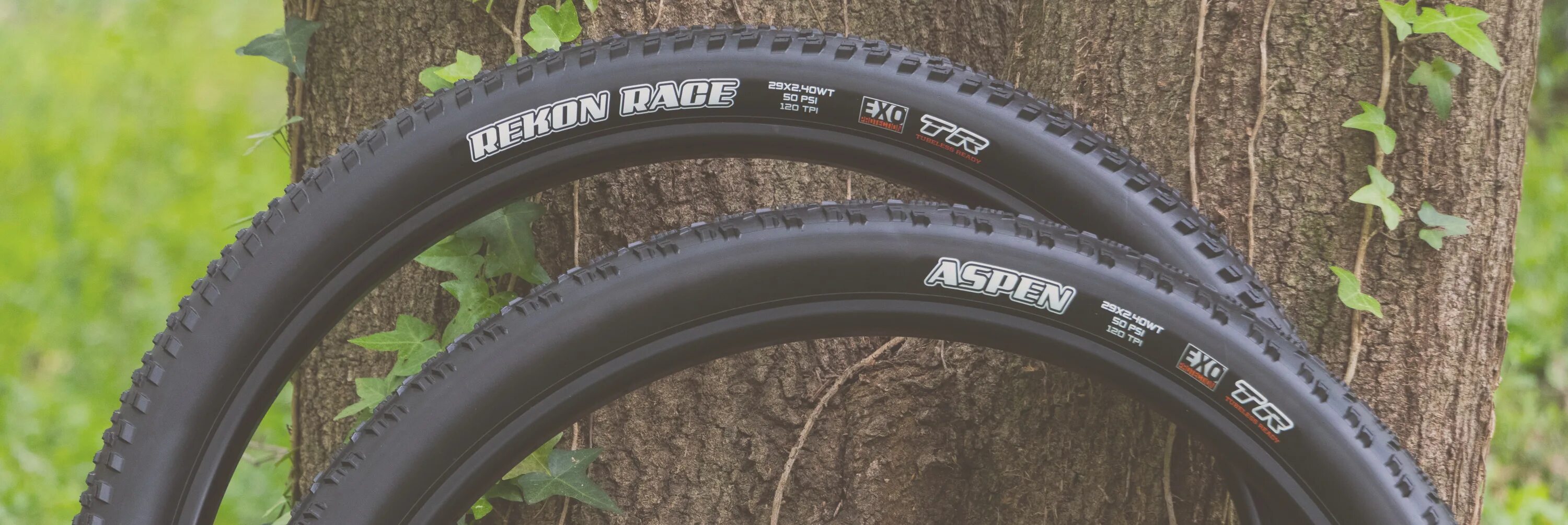 Maxxis recon. Maxxis recon race 27.5. maxxis aspen race. maxxis recon race 29x2.25. maxxis 25*8.00-12.