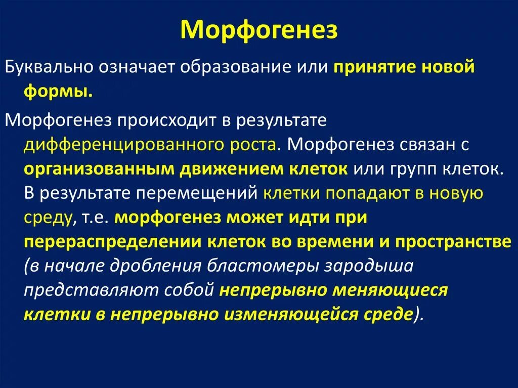 И контроля развития органов. Морфогенез. Морфогенез этапы. Концепции регуляции морфогенеза.