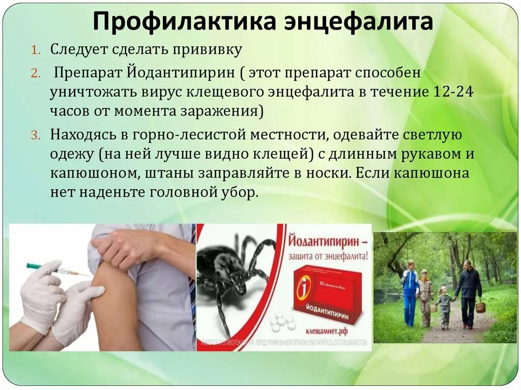 Памятки на тему клещевой энцефалит. Мероприятия по клещевому энцефалиту. Меры профилактики клещевого энцефалита. Мероприятия по клещевому энцефалиту. О мерах профилактики клещевого вирусного энцефалита.