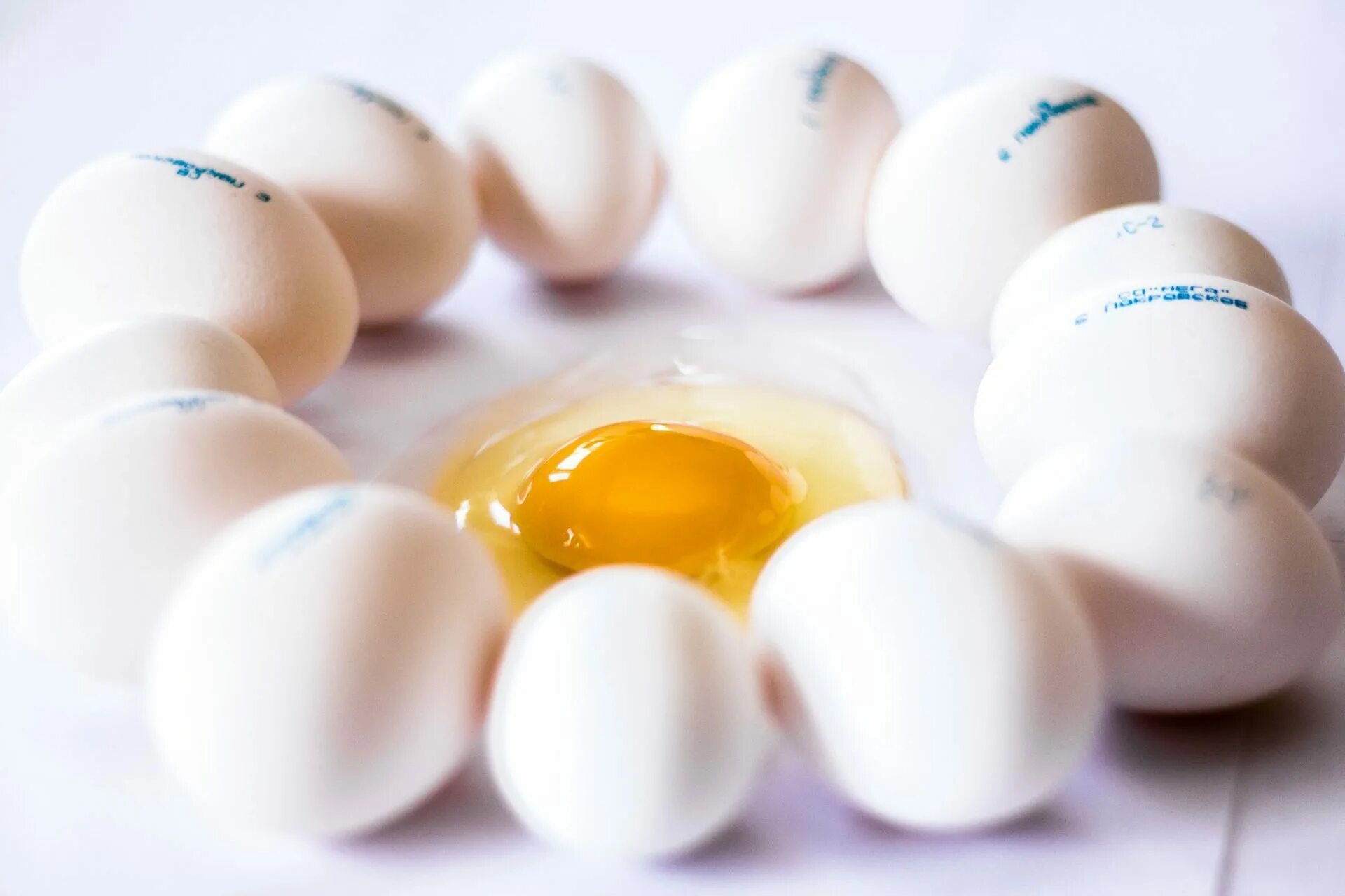 Фотки яичек. Яйцо. Яйца и яичные продукты. Яйцо (пищевой продукт). Яйца фото.