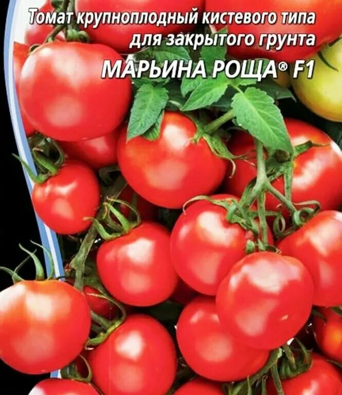 Описание томата марьина роща. Томат марьина роща характеристика. Описание томата марьина роща. Описание томата марьина роща. Томат марьина роща описание.