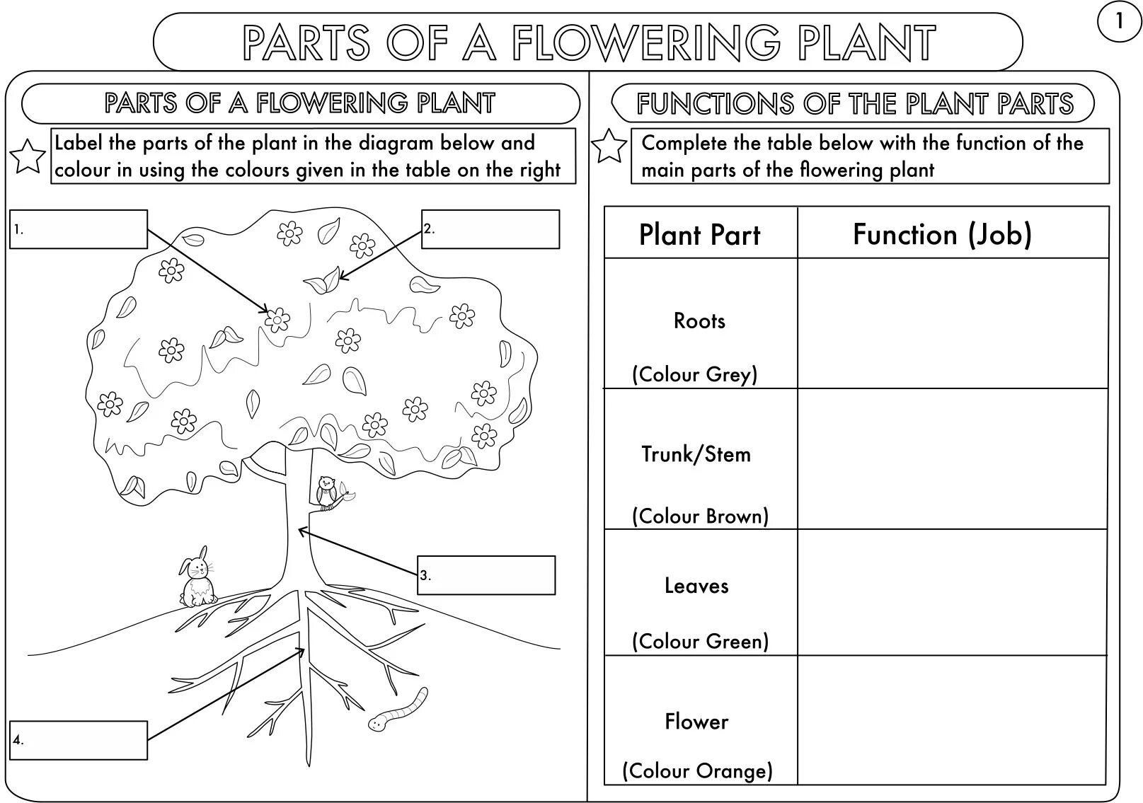 7 grade worksheets. Parts of the Plant Worksheets. A an Worksheets. Science Worksheet for Grade 2. Science Worksheets for Kids.