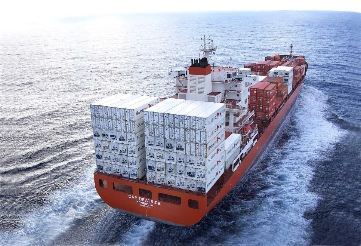 Export 7