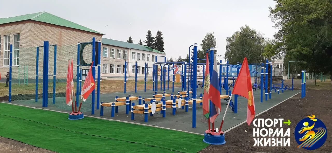 Участники гто. Спортивный баннер. Гто спорт норма жизни. Гто презентация. Ступени гто.