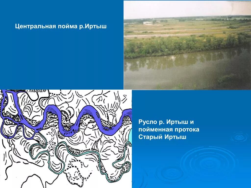 Падение реки иртыш. Речка Старица старое русло Иртыша. Центральная Пойма. Пойма Иртыша. Русло и Пойма.