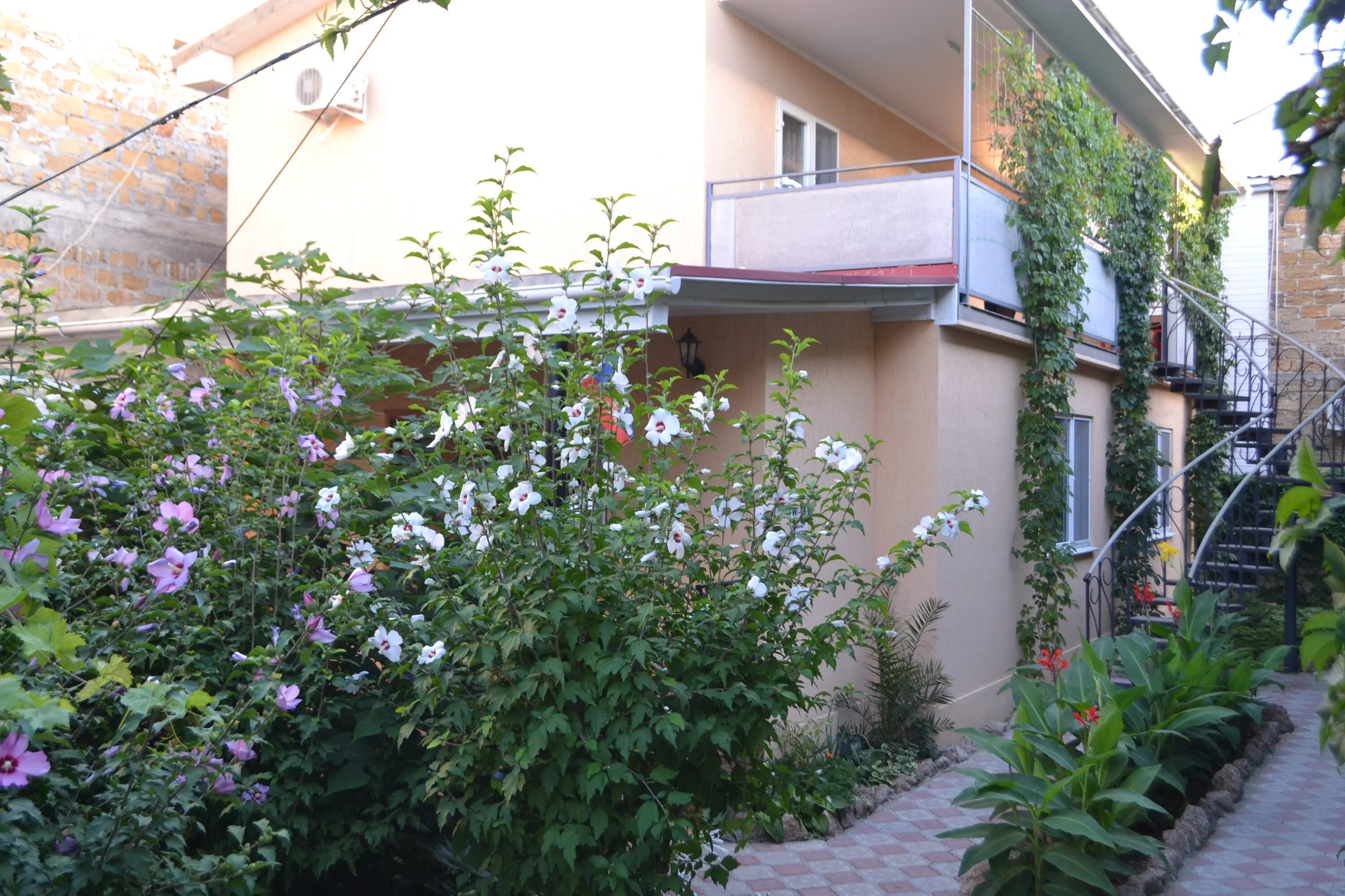 Дом феодосия. Посёлок береговое черноморский дворик. Феодосия береговое центр. Приморский крым гостевой дом приморский 1. Феодосия улица советская 15.