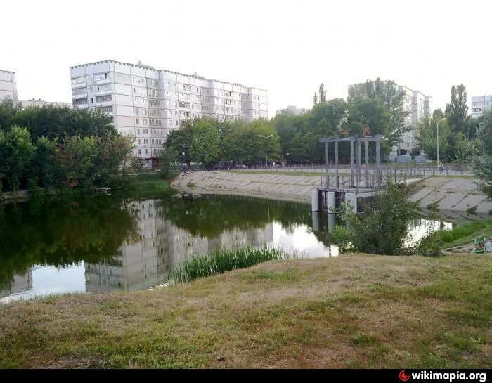 Пруд в Минске. Комсомольское озеро (пруд, Минск). Пруд в Харькове. Минск водоемы. Пруды минск