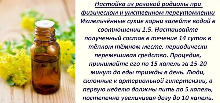 Родиола розовая как принимать. Золотой корень экстракт. Экстракт золотого корня родиолы розовой. Родиола розовая настой.