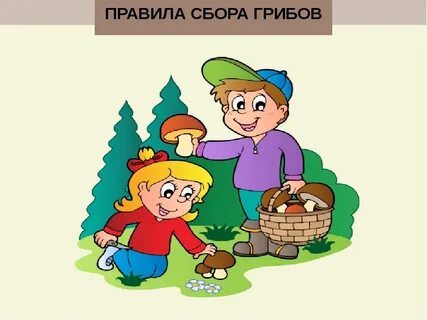 Дети собирают грибы картинки для детей